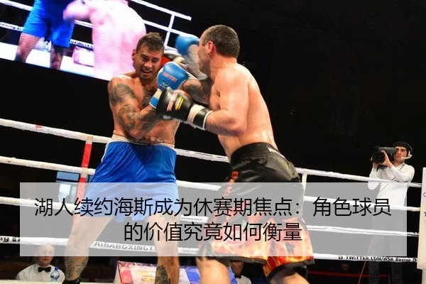 湖人续约海斯成为休赛期焦点：角色球员的价值究竟如何衡量